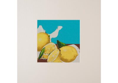 Collage con fruta 1