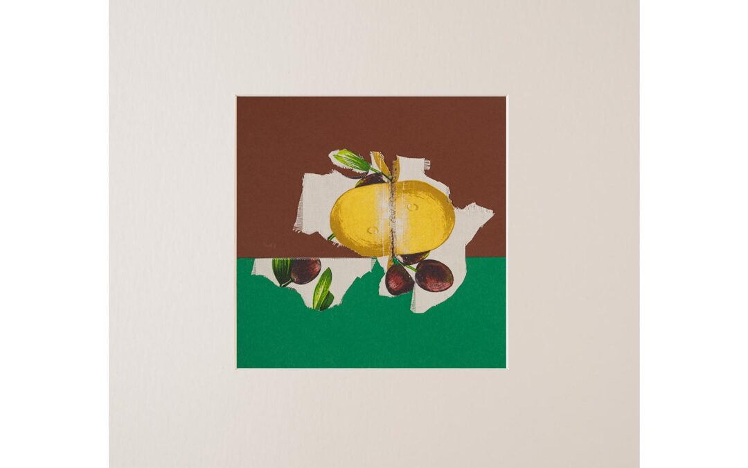 Collage con fruta 4